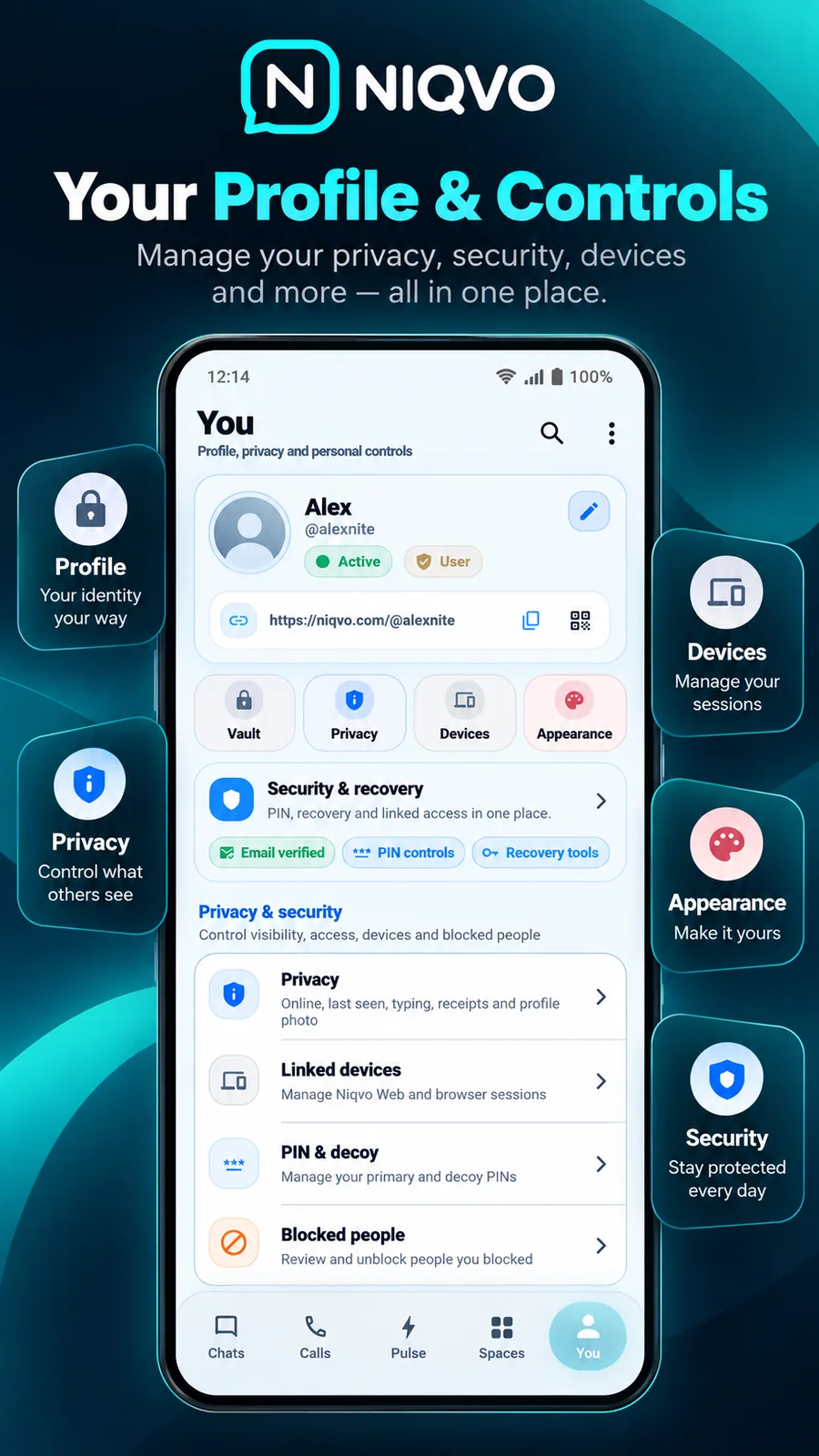 NIQVO Profile and Controls